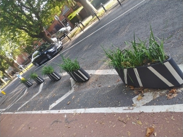 This image shows zebra planter boxes 